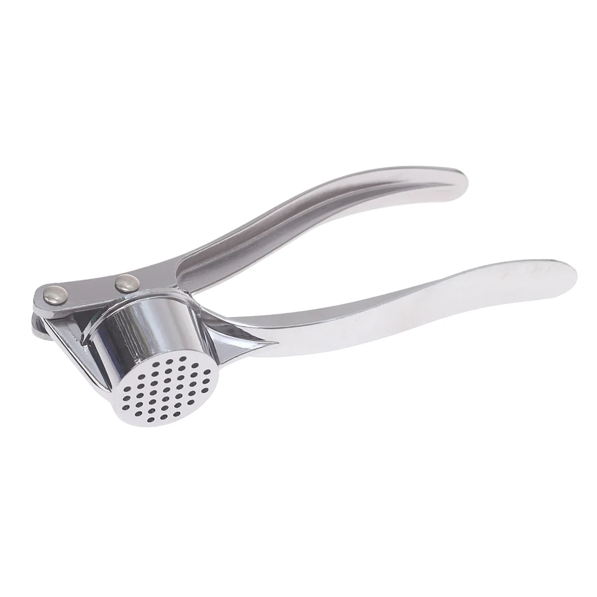 Stainless Steel Garlic Press